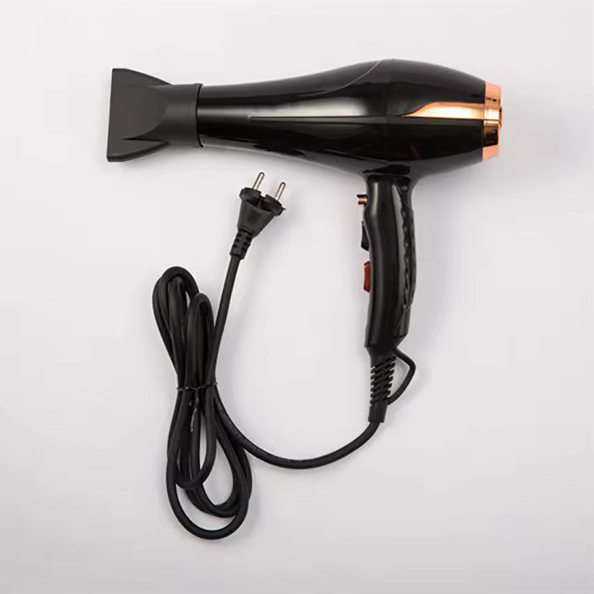 Powerful Thermostatic Hair Dryer With Concentrator Nozzle
